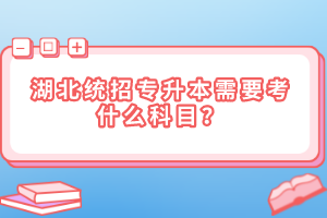 湖北統(tǒng)招專升本需要考什么科目？