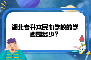 湖北專升本民辦學(xué)校的學(xué)費(fèi)是多少？