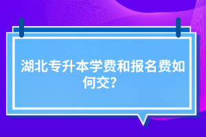 湖北專升本學費和報名費如何交？