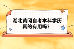 湖北黃岡自考本科學(xué)歷真的有用嗎？