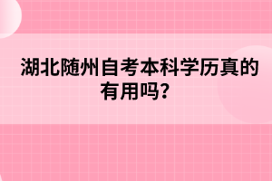 湖北隨州自考本科學歷真的有用嗎？