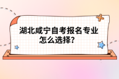 湖北咸寧自考報名專業(yè)怎么選擇？