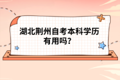 湖北荊州自考本科學(xué)歷有用嗎？