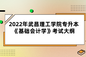 2022年武昌理工學(xué)院專(zhuān)升本《基礎(chǔ)會(huì)計(jì)學(xué)》考試大綱