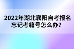 2022年湖北襄陽自考報(bào)名忘記考籍號(hào)怎么辦？