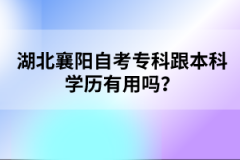 湖北襄陽自考?？聘究茖W(xué)歷有用嗎？