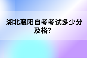 湖北襄陽自考考試多少分及格？