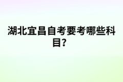 湖北學(xué)位英語考試題型有哪些？