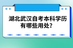 湖北武漢自考本科學(xué)歷有哪些用處？