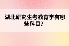 湖北研究生考教育學有哪些科目？