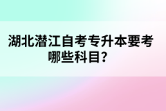 湖北潛江自考專升本要考哪些科目？