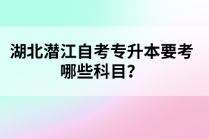 湖北潛江自考專升本要考哪些科目？