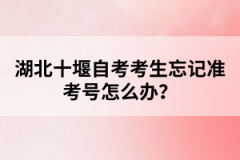 湖北十堰自考考生忘記準考號怎么辦？