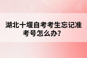 湖北十堰自考考生忘記準(zhǔn)考號(hào)怎么辦？