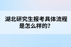 湖北研究生報考具體流程是怎么樣的？