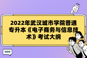 2022年武漢城市學(xué)院普通專升本《電子商務(wù)與信息技術(shù)》考試大綱