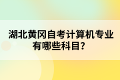 湖北黃岡自考計(jì)算機(jī)專業(yè)有哪些科目？