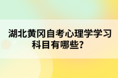 湖北黃岡自考心理學(xué)學(xué)習(xí)科目有哪些？