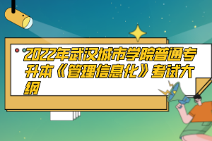 2022年武漢城市學(xué)院普通專(zhuān)升本《管理信息化》考試大綱