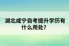 湖北咸寧自考提升學(xué)歷有什么用處？