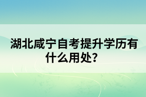 湖北咸寧自考提升學(xué)歷有什么用處？