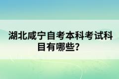 湖北咸寧自考本科考試科目有哪些？