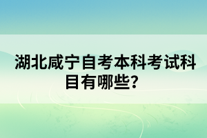 湖北咸寧自考本科考試科目有哪些？