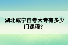 湖北咸寧自考大專有多少門課程？