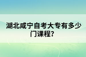 湖北咸寧自考大專有多少門課程？