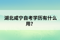 湖北咸寧自考學(xué)歷有什么用？