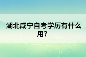 湖北咸寧自考學(xué)歷有什么用？