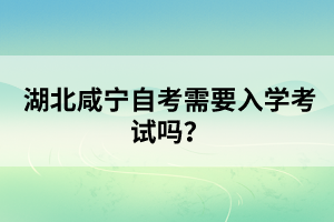 湖北咸寧自考需要入學(xué)考試嗎？