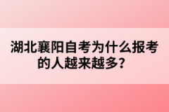 湖北襄陽自考為什么報(bào)考的人越來越多？