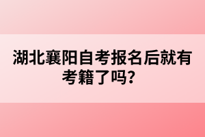 湖北襄陽自考報名后就有考籍了嗎？