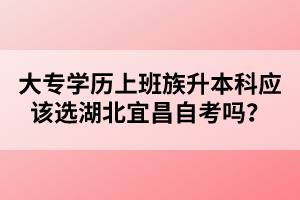 大專學歷上班族升本科應該選湖北宜昌自考嗎？