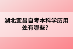 湖北宜昌自考本科學(xué)歷用處有哪些？