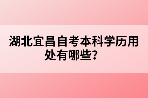 湖北宜昌自考本科學(xué)歷用處有哪些？