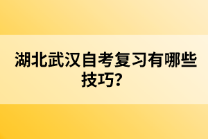 湖北武漢自考復(fù)習(xí)有哪些技巧？