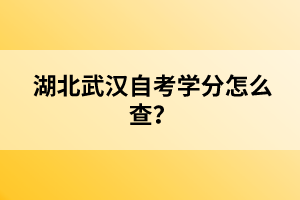 湖北武漢自考學(xué)分怎么查？