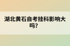 湖北黃石自考掛科影響大嗎？