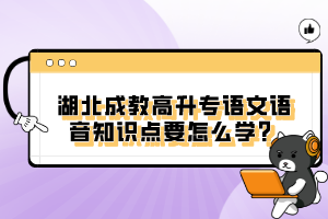 湖北成教高升專語文語音知識(shí)點(diǎn)要怎么學(xué)？