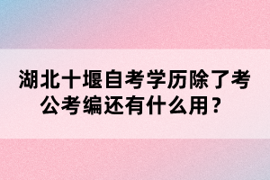 湖北十堰自考學(xué)歷除了考公考編還有什么用？