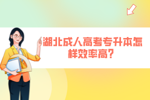 湖北成人高考專升本怎樣效率高？