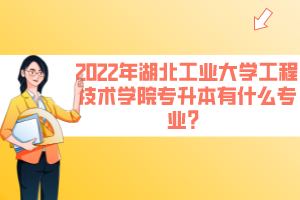 2022年湖北工業(yè)大學(xué)工程技術(shù)學(xué)院專升本有什么專業(yè)？