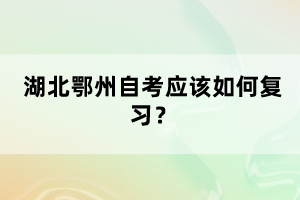 湖北鄂州自考應該如何復習？