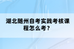 湖北隨州自考實(shí)踐考核課程怎么考？