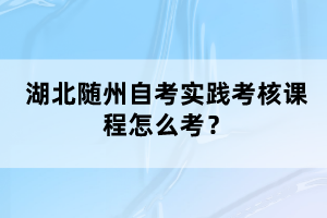 湖北隨州自考實踐考核課程怎么考？