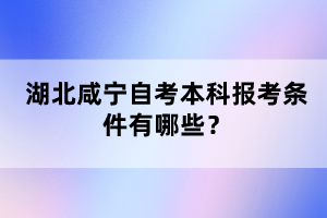 湖北咸寧自考本科報(bào)考條件有哪些？