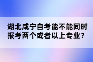 湖北咸寧自考能不能同時報考兩個或者以上專業(yè)？