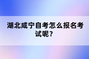 湖北咸寧自考怎么報名考試呢？